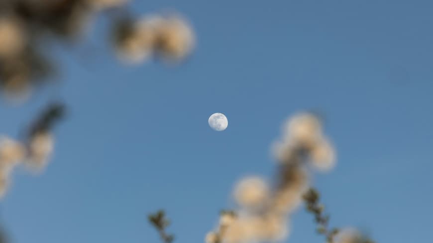 Frühlingshimmel mit Mond