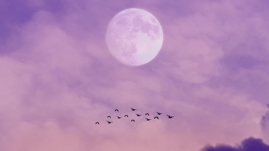 Mond an lila Abendhimmel