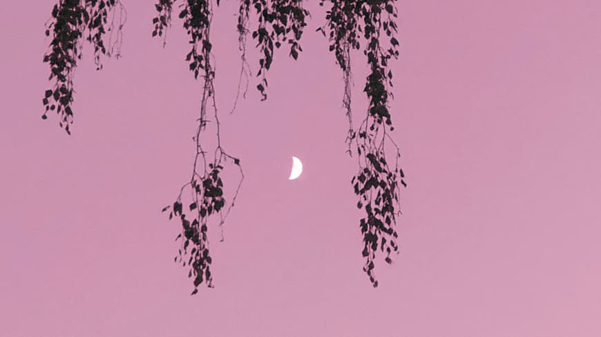 Mond an rosa Himmel