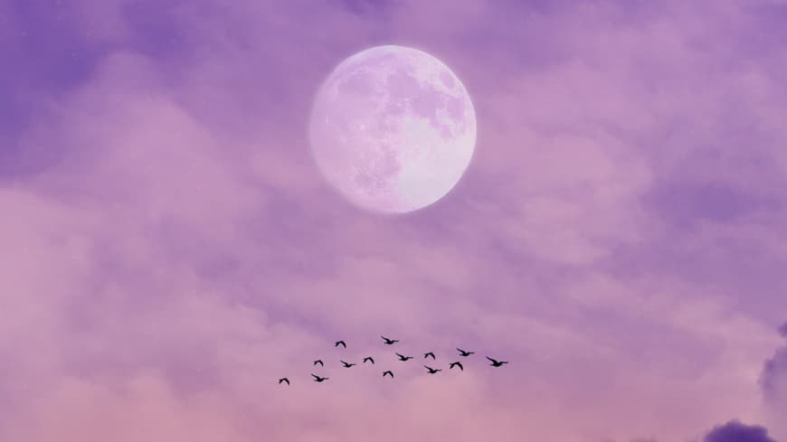 Vollmondhimmel
