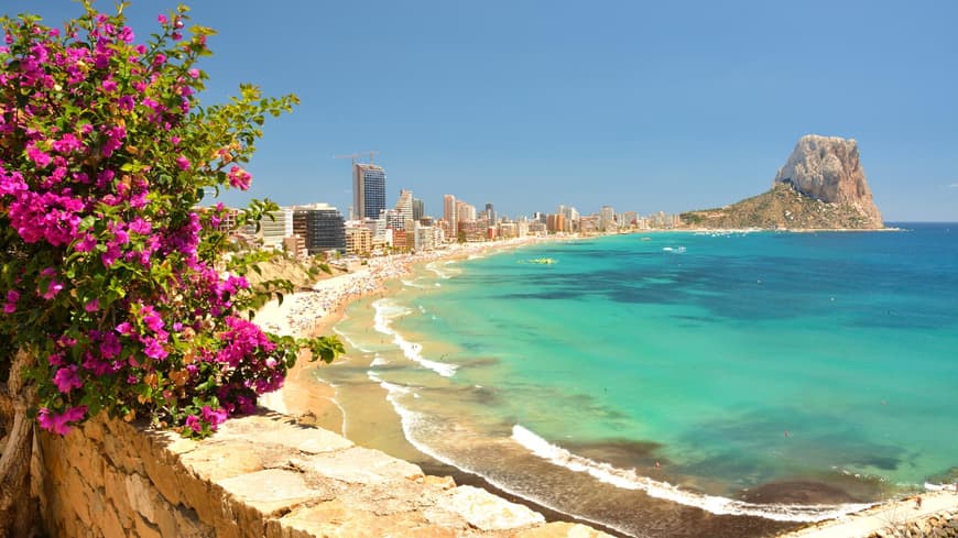 Ein Strand an der Costa Blanca mit Blumen im Vordergrund und Hochhäusern im Hintergrund.