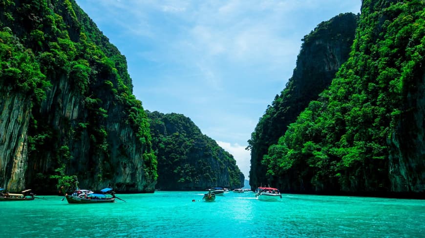 Eine Bucht mit Booten umringt von hohen Bäumen in Thailand.