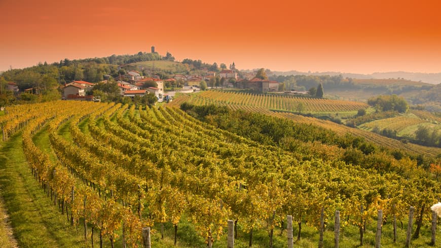 Slowenische Weinhügel