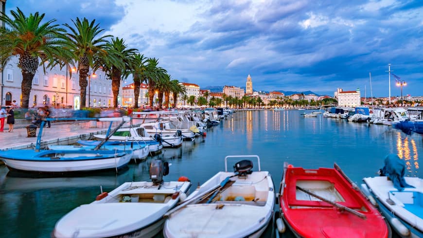 Ein Blick auf den Hafen von Split mit vielen Booten, Palmen an der Promenade und Häusern im Hintergrund.