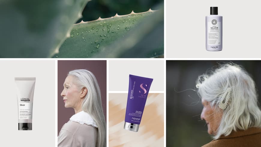 Collage mit Bildern von Conditioner, Aloe vera und Frauen mit grauen Haaren.
