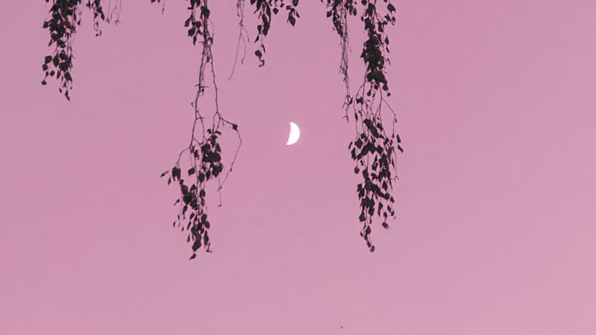Rosa Himmel mit Mond