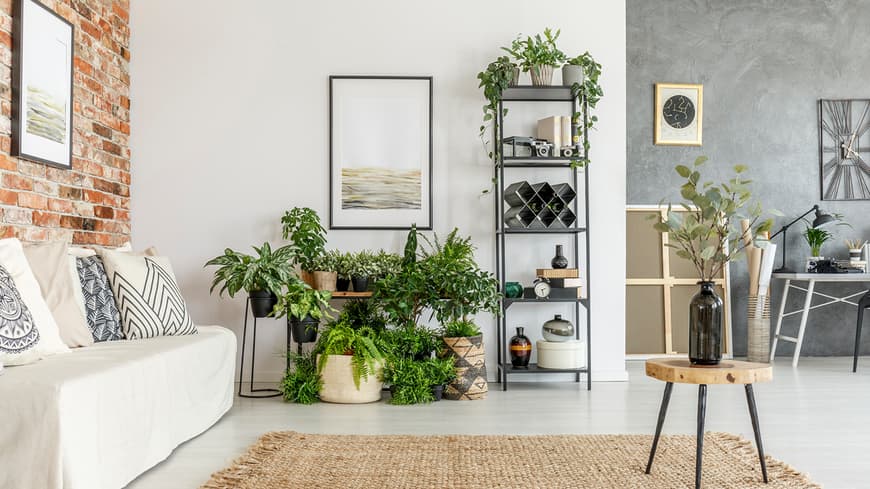Ein stylisches Wohnzimmer
