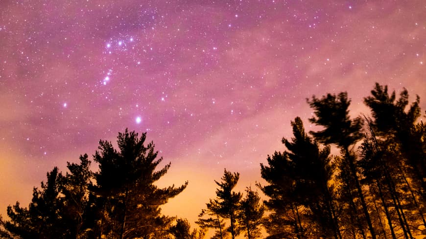 Lila Sternenhimmel mit schwarzen Tannenbäumen