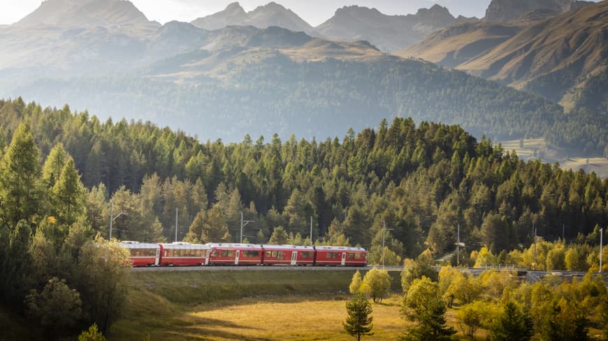 Zug vor Bergkulisse
