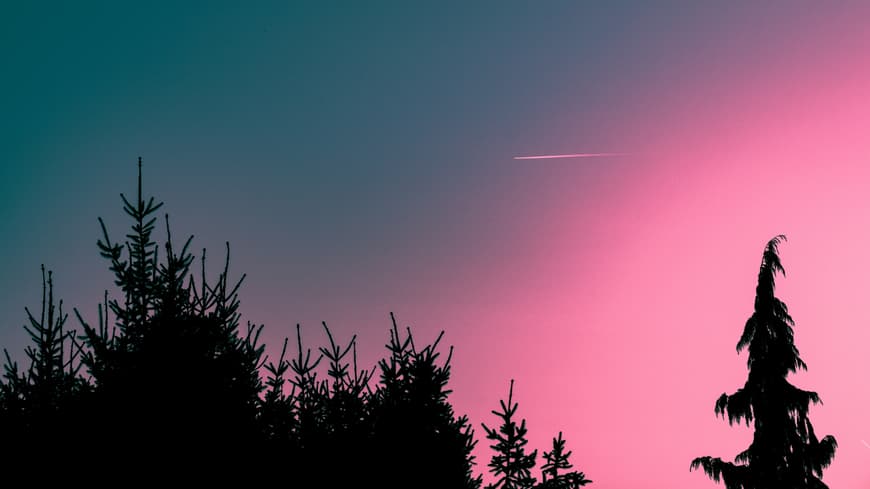 Für welche 3 Sternzeichen das 11/11-Portal ein Startschuss in ein besseres Leben ist? Das erfährst du hier. Abendhimmel mit Sternschnuppe