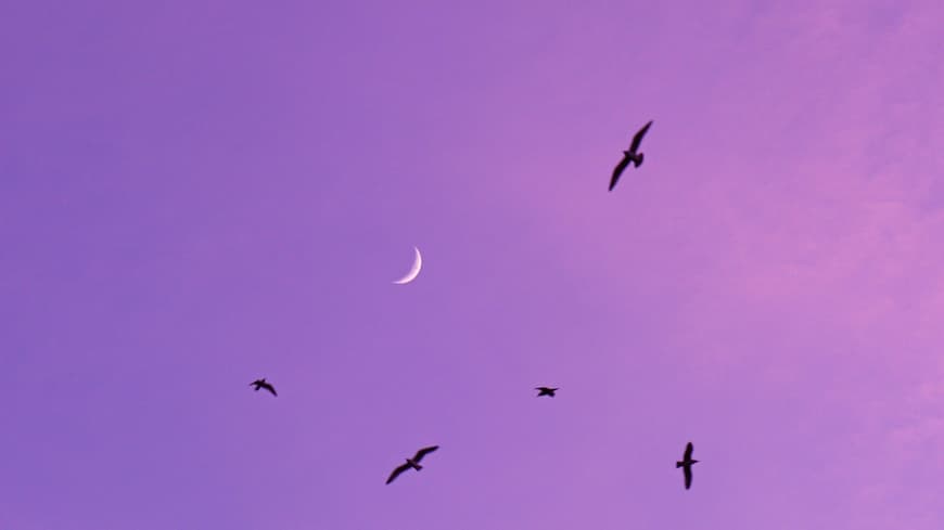 Neumond an lila Abendhimmel