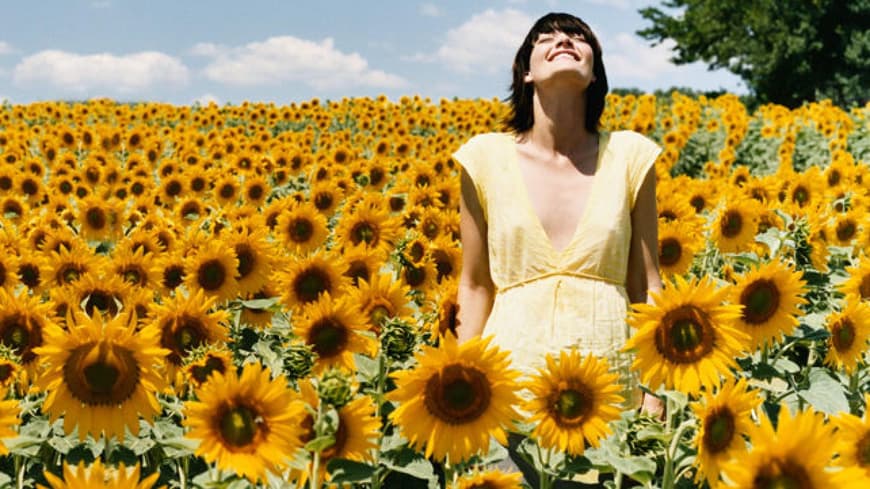 Junge Frau in Sonnenblumenfeld