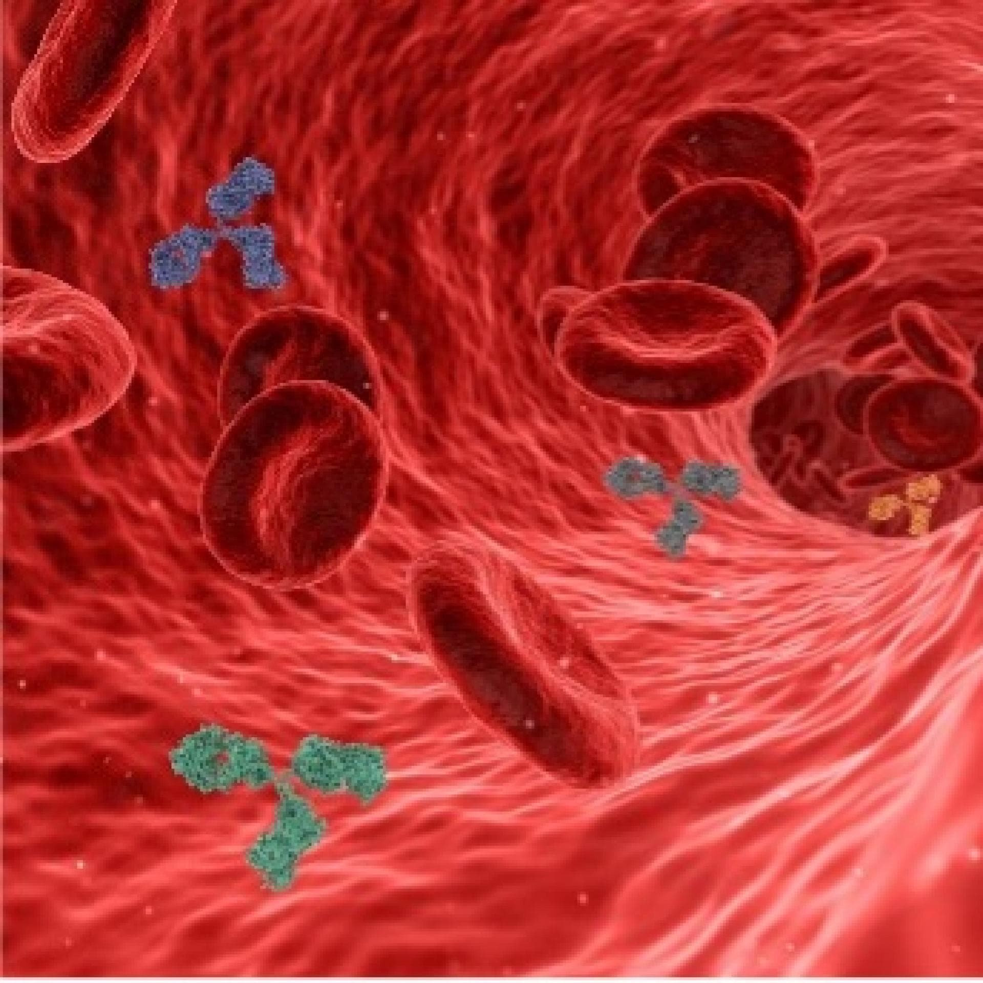 Autoimmunerkrankung Autoimmunerkrankung