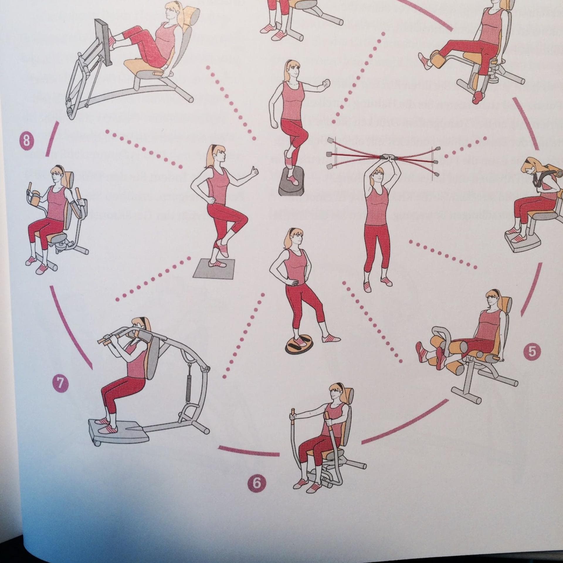 Das Zirkeltraining bei Mrs. Sporty Das Zirkeltraining bei Mrs. Sporty