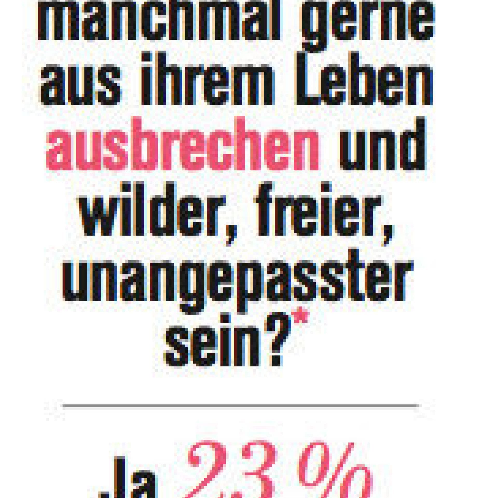 Spießer Spießer