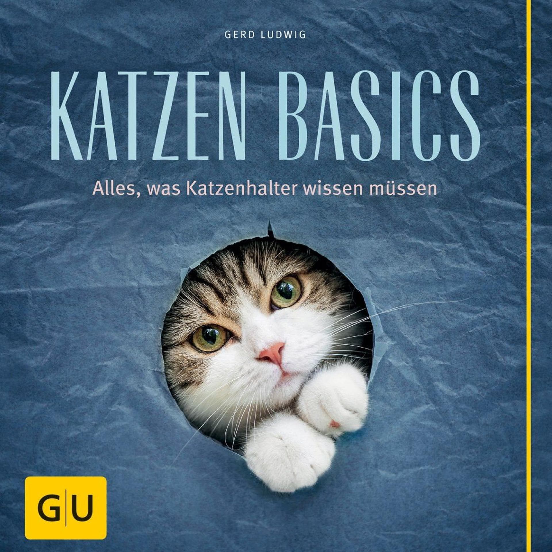 buch-katzen-basics