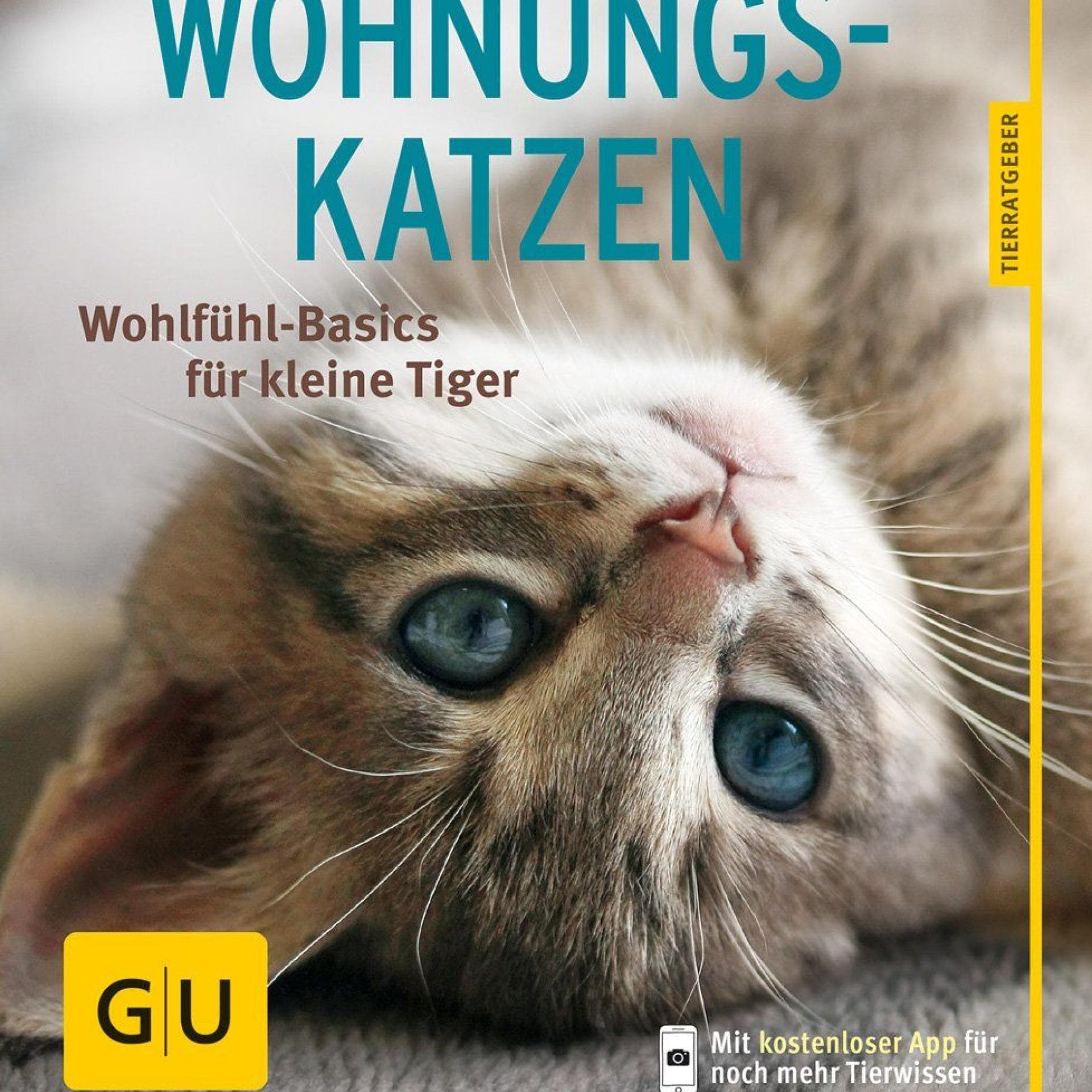 wohnungs-katzen