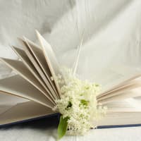 3 Bücher, die Frauen während und nach einer Brustkrebserkrankung unterstützen Buch mit Blume
