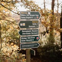 Schild im Wald in herbstlichen Farben