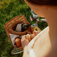 Fahrradtouren Herbst Wein im Fahrradkorb