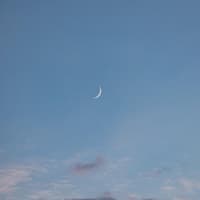 Neumond am Himmel Neumond am Himmel mit rosafarbenen Wolken