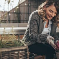 Winterharte Balkonpflanzen