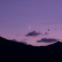Neumond am rosafarbenen Himmel