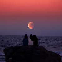 Blumenmond Vollmond Blumenmond Vollmond