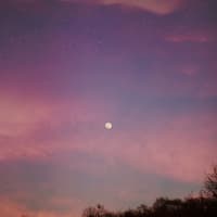 Was dein Sternzeichen diese Woche erwartet, erfährst du hier. Himmel mit Sternen und Mond