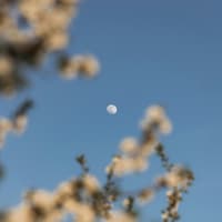 Welche 3 Sternzeichen sich jetzt auf große Veränderungen gefasst machen sollten, liest du hier. Frühlingshimmel mit Mond