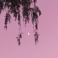 Welches dein Glückstag im Juli 2025 ist, verraten wir dir hier. Mond an rosa Himmel