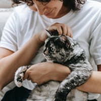 Frau hält eine Katze auf dem Arm und schmust mit ihr.