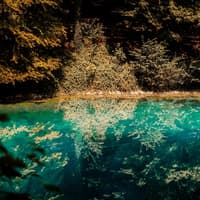 Ein Blick auf die türkisfarbene Blautopf Quelle mit Bäumen im Hintergrund.