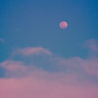 pinker Vollmond am Himmel