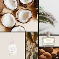 Kokos Parfums passen besonders gut zum Sommer. Eine Collage mit Bilder von Kokosnüssen, Füßen im Sand, Palmenblättern und verschiedenen Kokos Parfums.