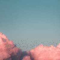 Rosa Wolke mit Vögeln