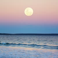 Welche Sternzeichen im August 2025 von Glück überhäuft werden, erfährst du hier. Vollmond überm Wasser