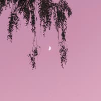 Rosa Himmel mit Mond