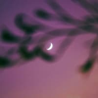 Diesen 3 Sternzeichen steht jetzt ein glücklicheres Lebenskapitel bevor. Mond am lila Abendhimmel