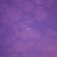 Zwei Sternzeichen erhalten endlich eine Nachricht, die sie schon lange erwartet haben. Lila Himmel mit Halbmond