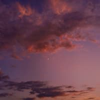 Diese 4 Sternzeichen lassen sich nicht so leicht täuschen. Abendhimmel mit rosa Wolken