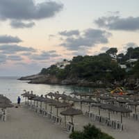 Der Strand Sa Font de sa Cala ist schön ruhig und nicht überlaufen. Ein Strand mit vielen Sonnenschirmen aus Stroh und Bäumen auf einem Hang im Hintergrund.
