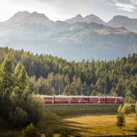 Auf der Zugreise ergeben sich herrliche Ausblicke! Zug vor Bergkulisse