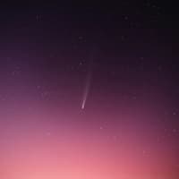 Sternenhimmel mit Sternschnuppe