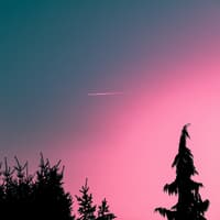 Für welche 3 Sternzeichen das 11/11-Portal ein Startschuss in ein besseres Leben ist? Das erfährst du hier. Abendhimmel mit Sternschnuppe