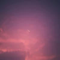 Welche 4 Sternzeichen im Dezember eine große Portion Glück erwartet? Das erfährst du hier. Rosa Wolkenhimmel mit Sichelmond