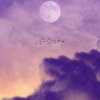 Supervollmond am lila Himmel