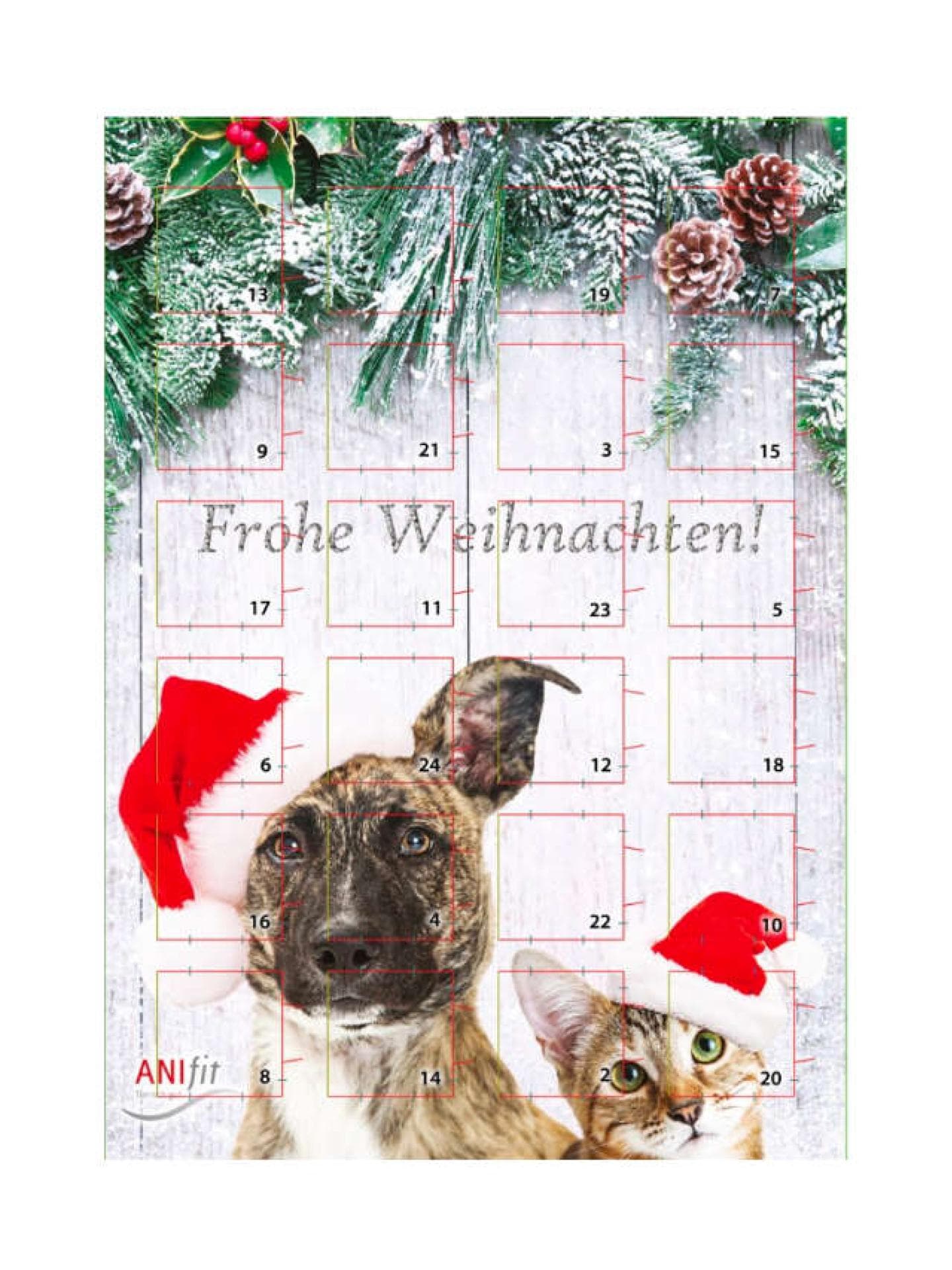 Adventskalender Hund