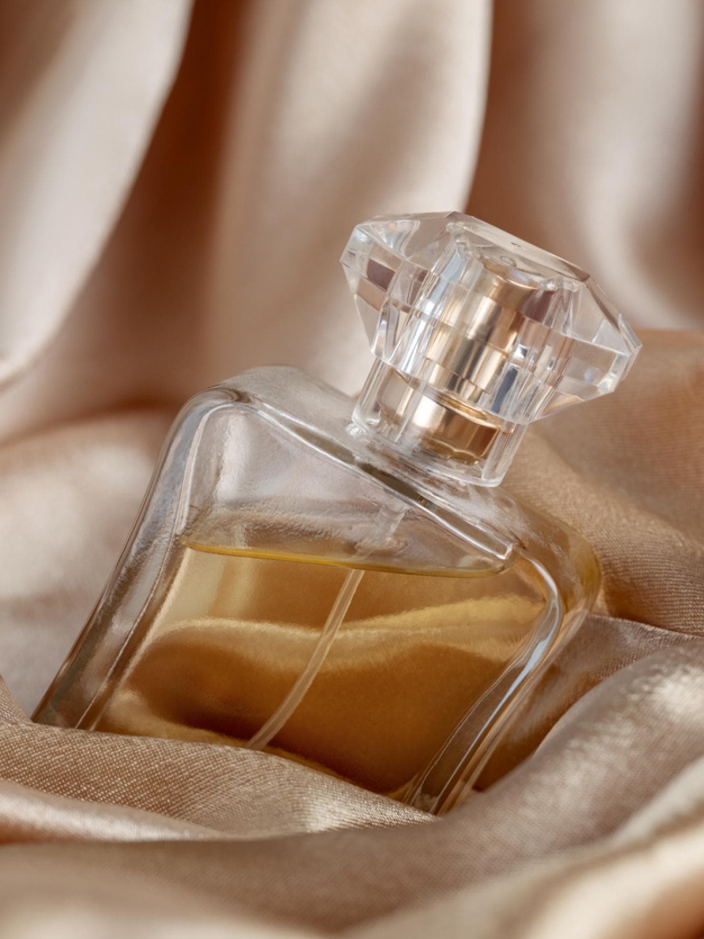 Beliebte Parfums