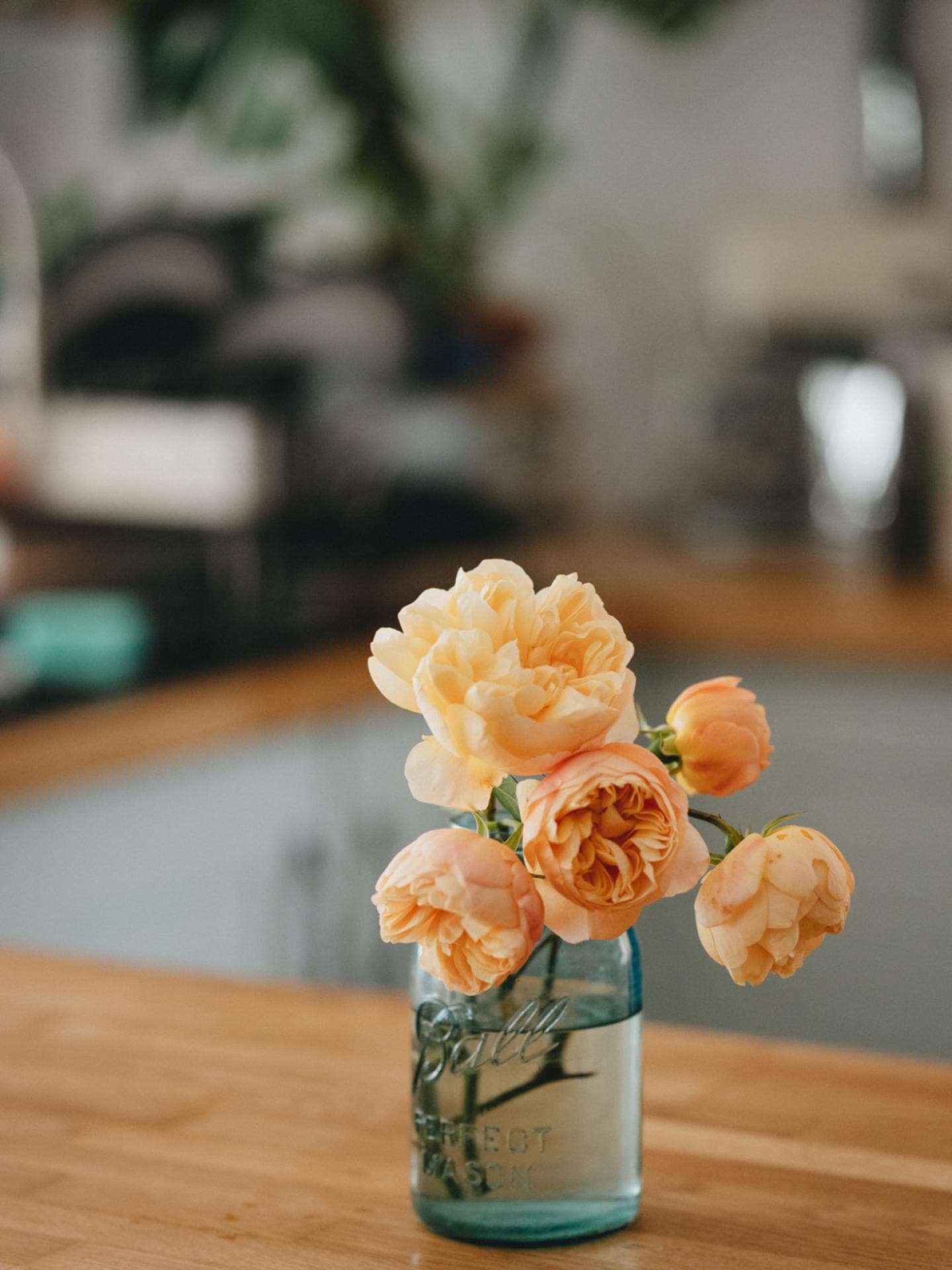 Blumen pflegen Blumen pflegen